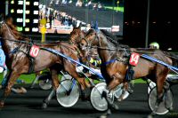 hippodrome2014 (10).jpg